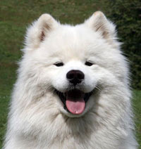Prince Yuma of Smiling Snowstar